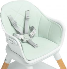Стільчик для годування Caretero Bravo Mint
